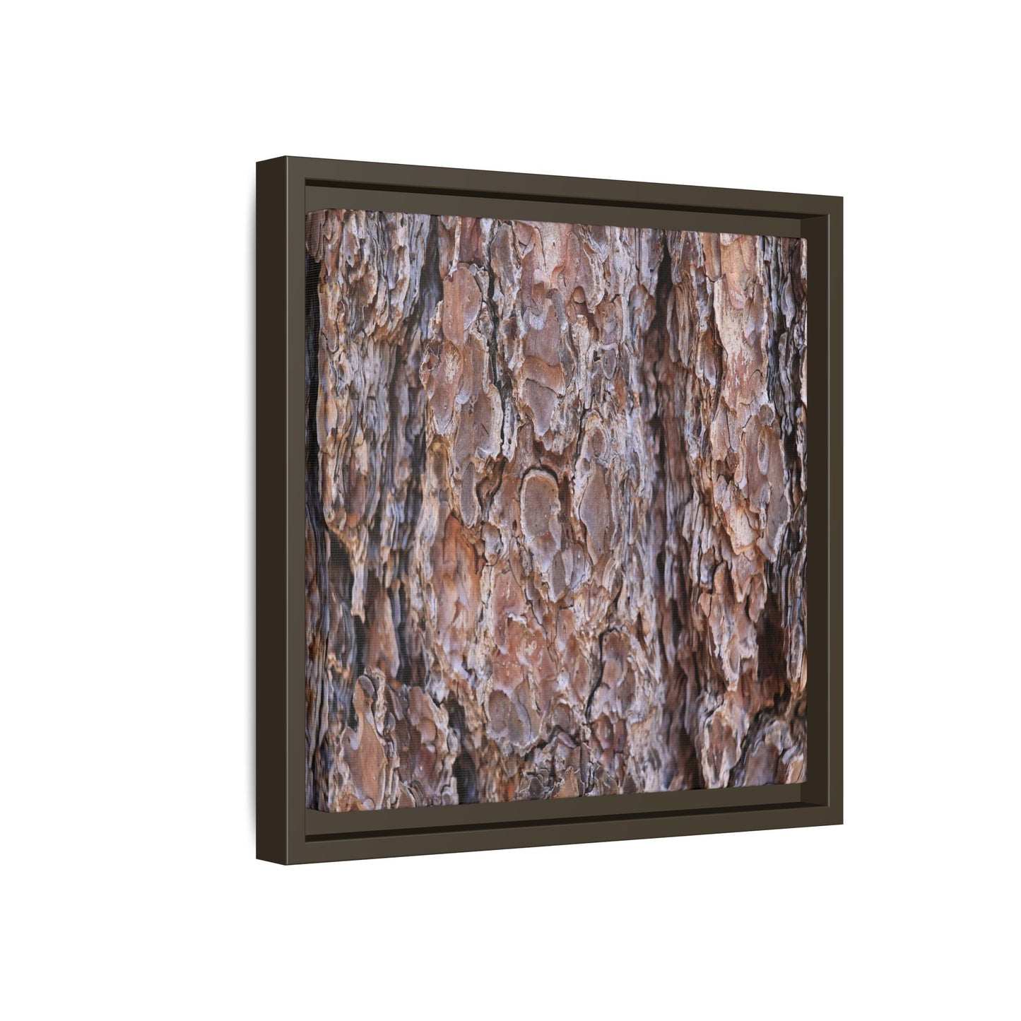 Woody Layers - Unique Stretched Canvas Wall Art