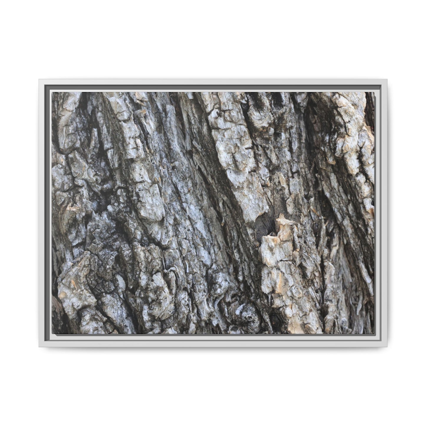 Twisted Textures - Unique Stretched Canvas Wall Art