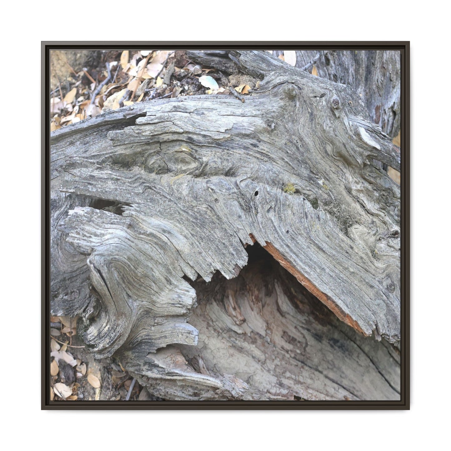 Driftwood Dreams - Unique Stretched Canvas Wall Art