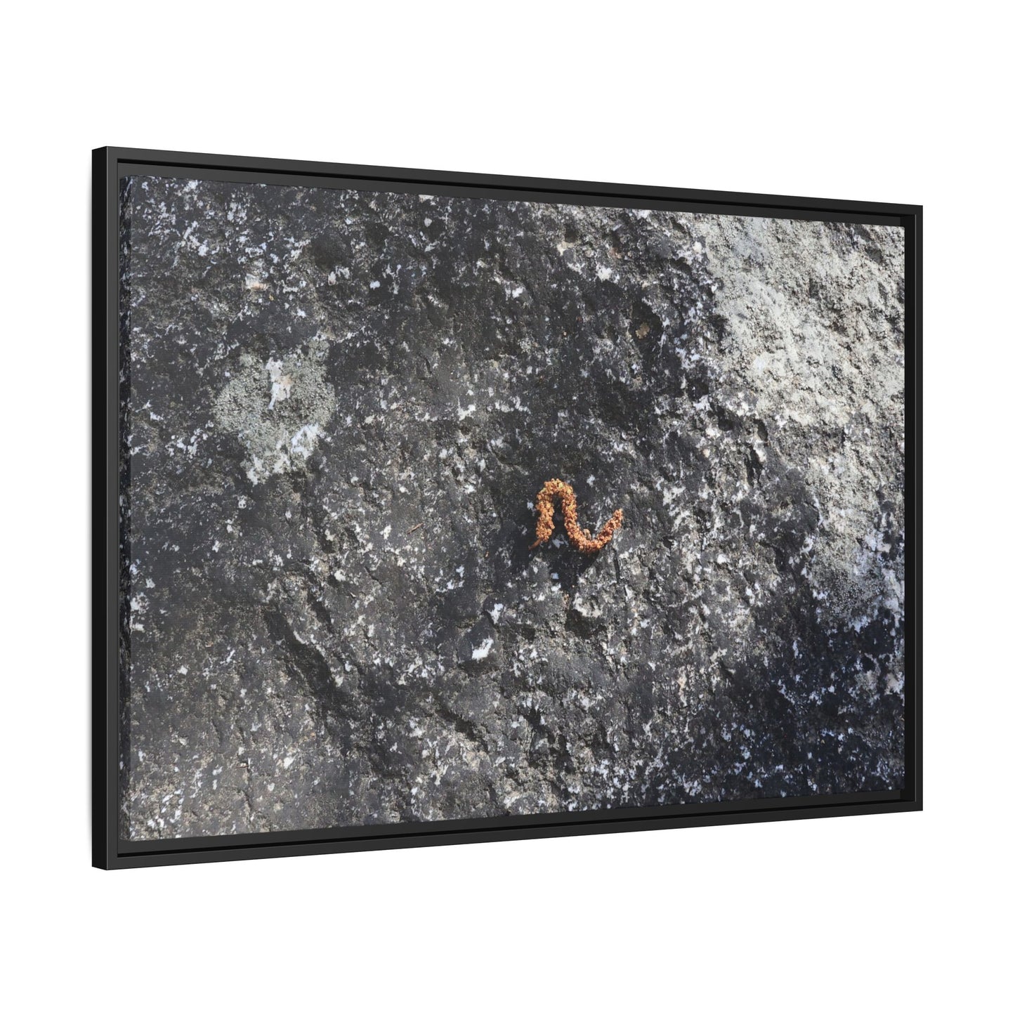 Volcanic Ash and Copper - Unique Stretched Canvas Wall Art
