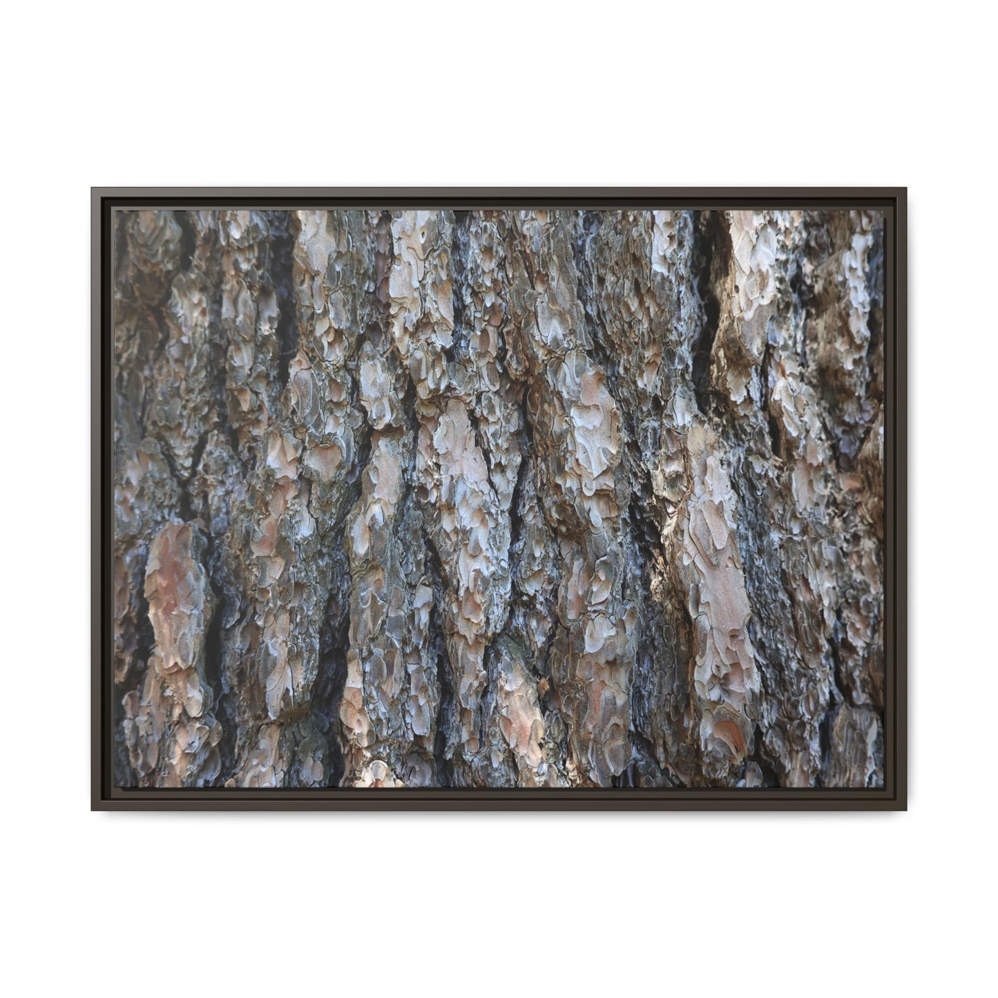Bark Whispers - Unique Stretched Canvas Wall Art