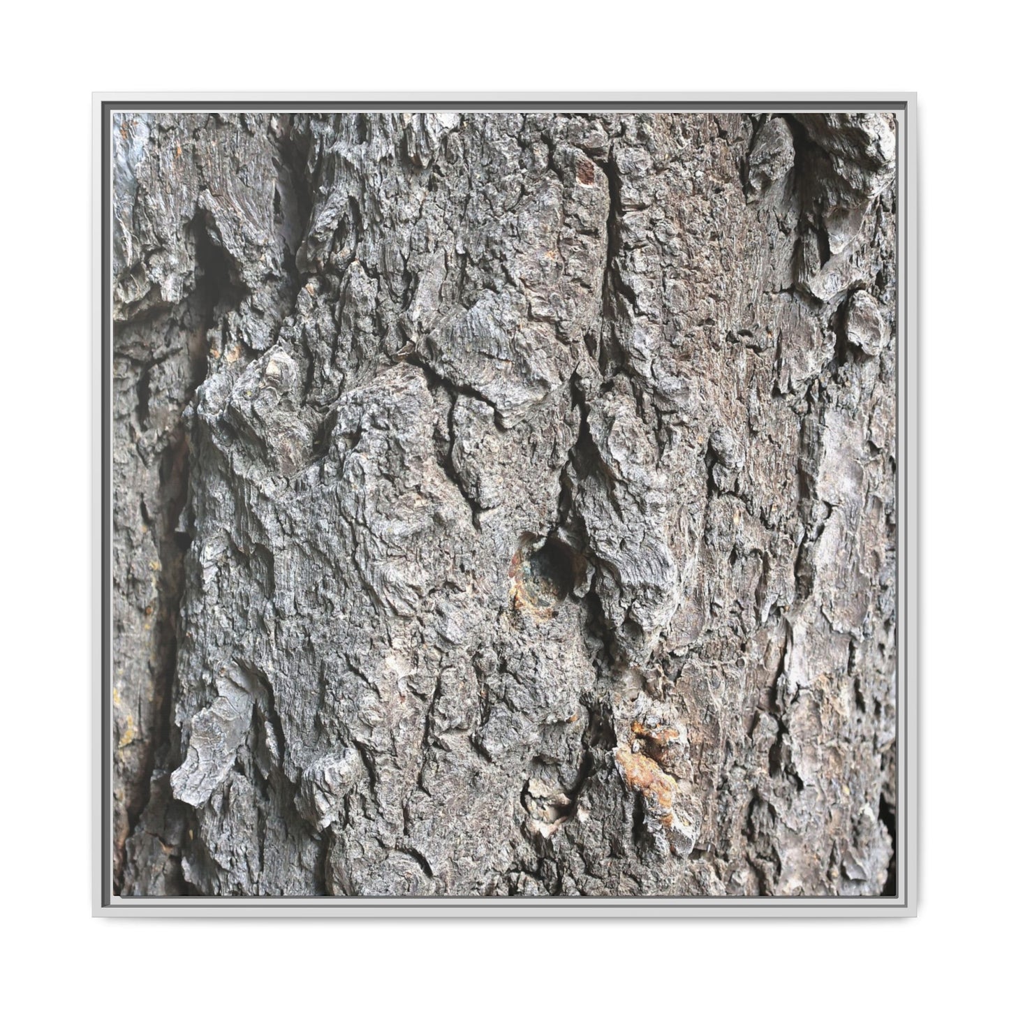 Crusty Exterior - Unique Stretched Canvas Wall Art
