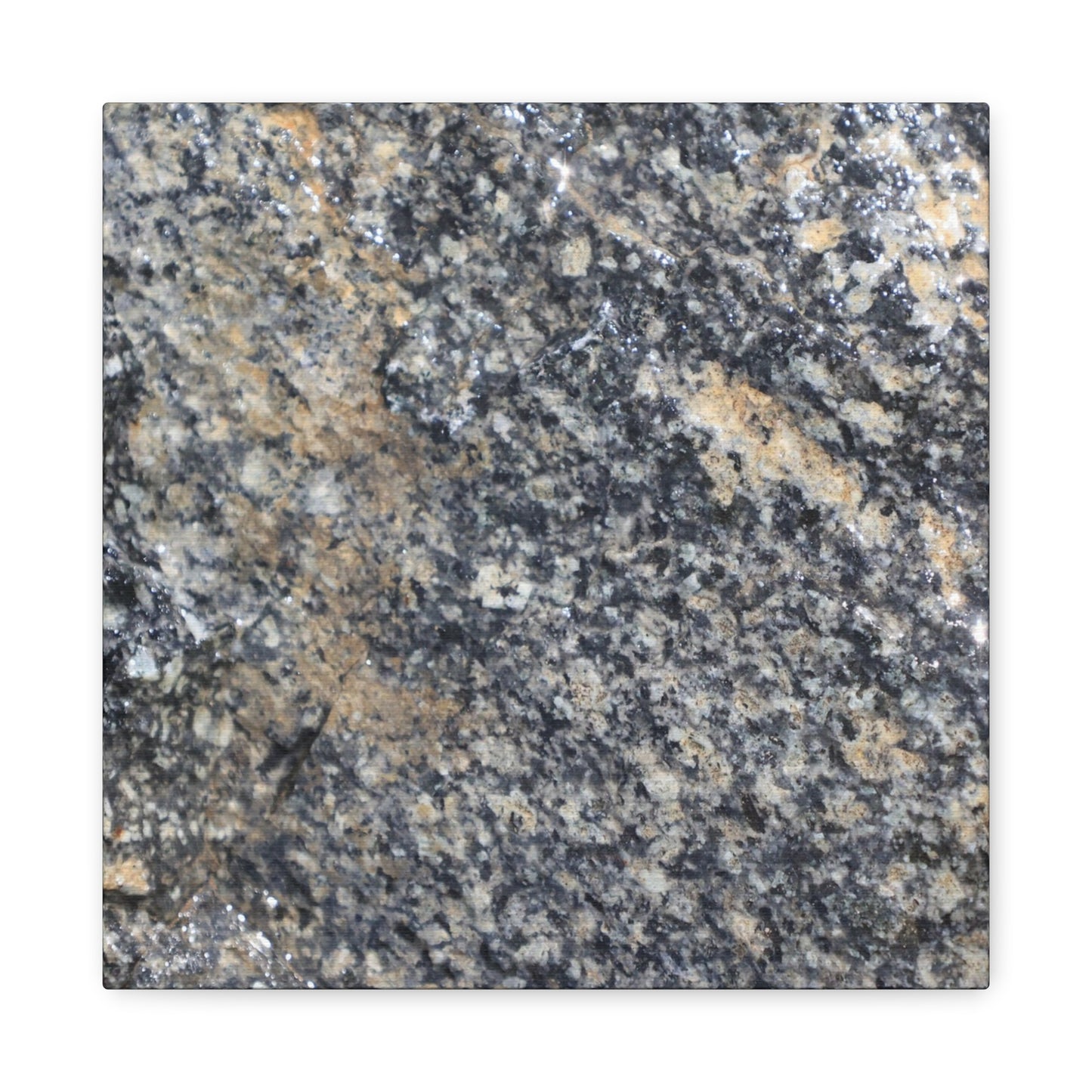 Metamorphic Memory - Unique Frameless Canvas Wall Art