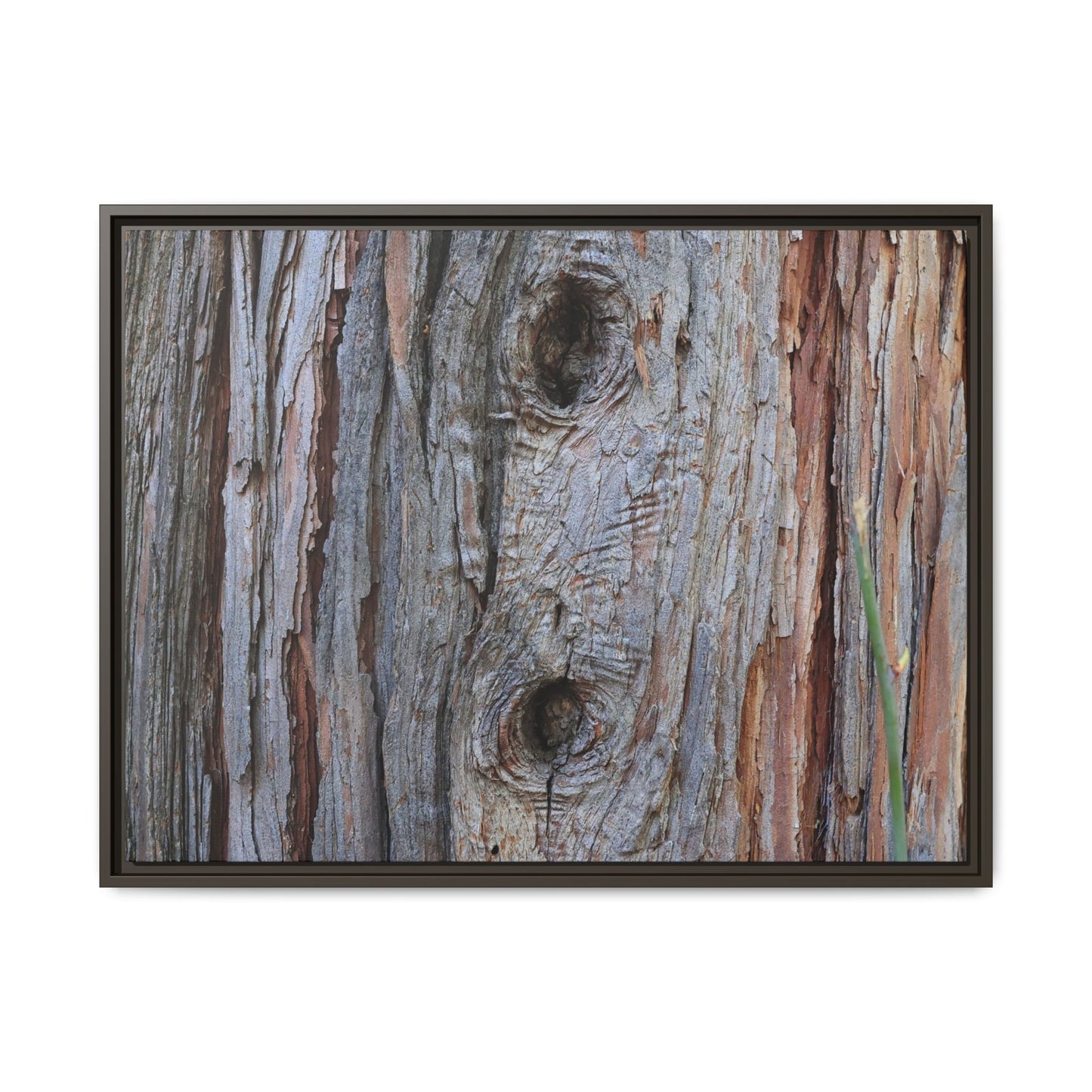 Knotty Nature - Unique Stretched Canvas Wall Art