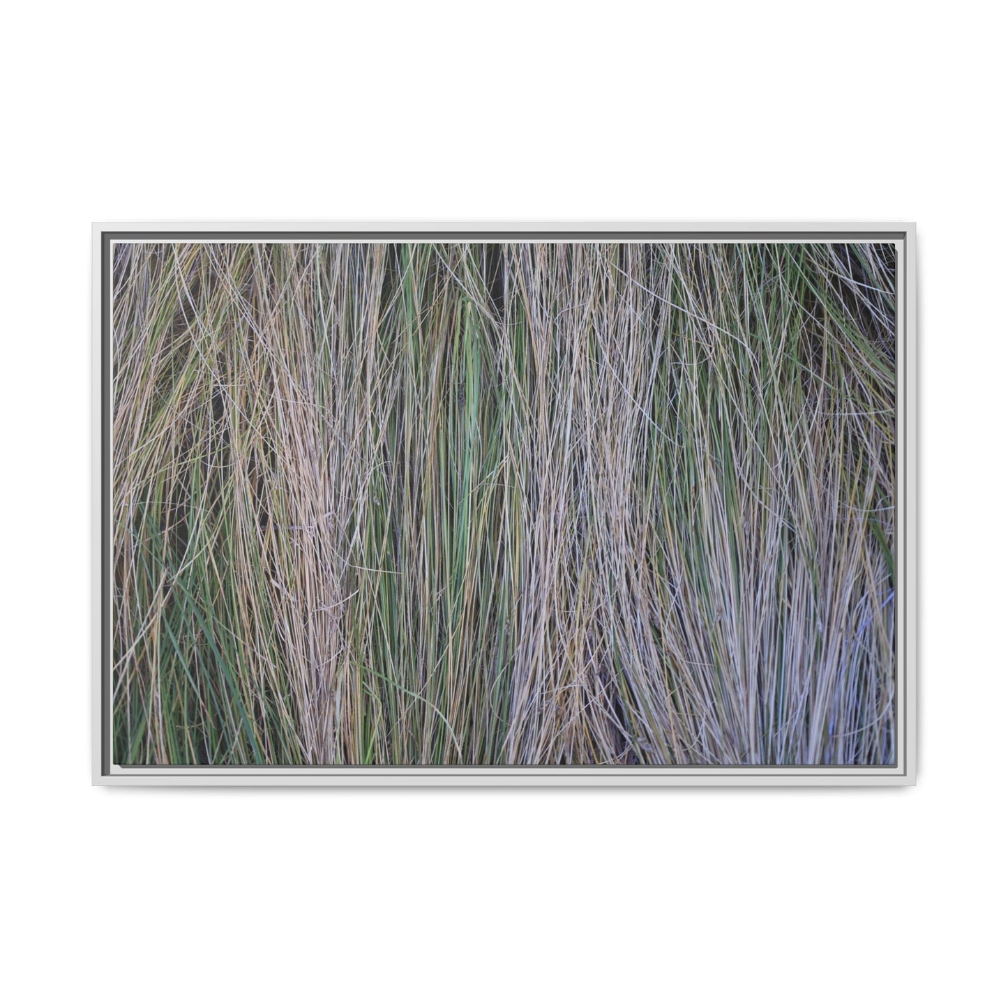 Whispers of Silver Grass - Unique Stretched Canvas Wall Art