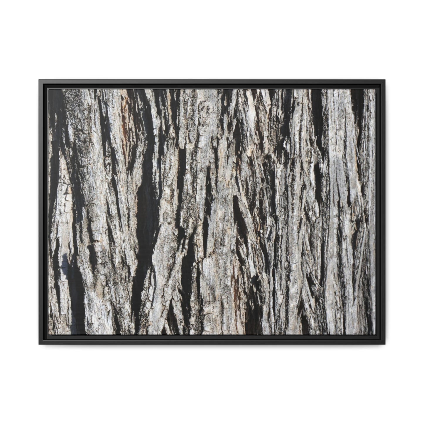 Nature's Abstract - Unique Stretched Canvas Wall Art
