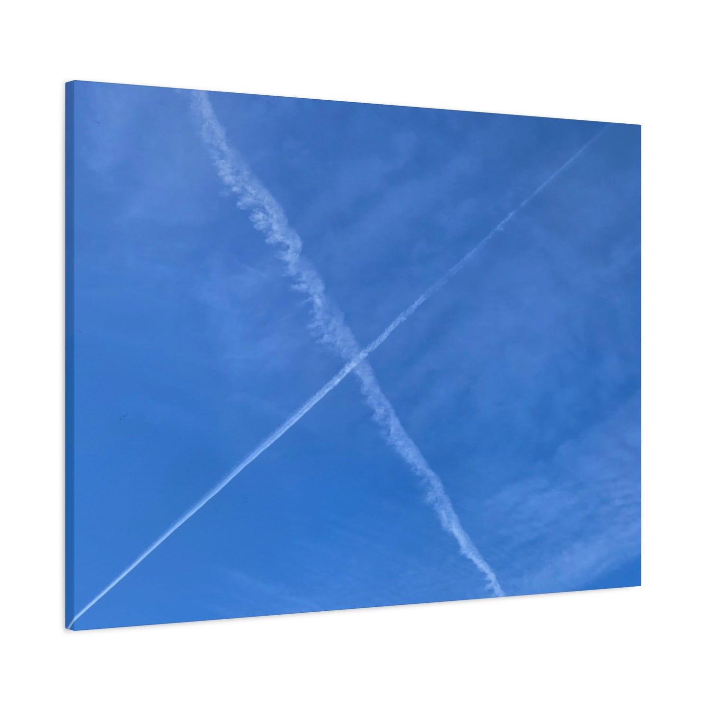 Crossing Paths - Unique Frameless Canvas Wall Art