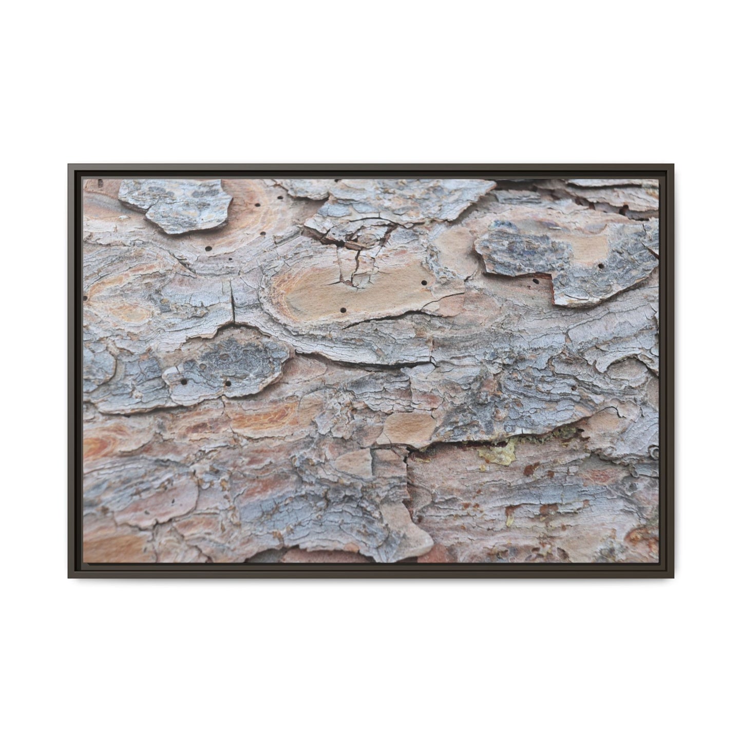 Peeling Memories - Unique Stretched Canvas Wall Art