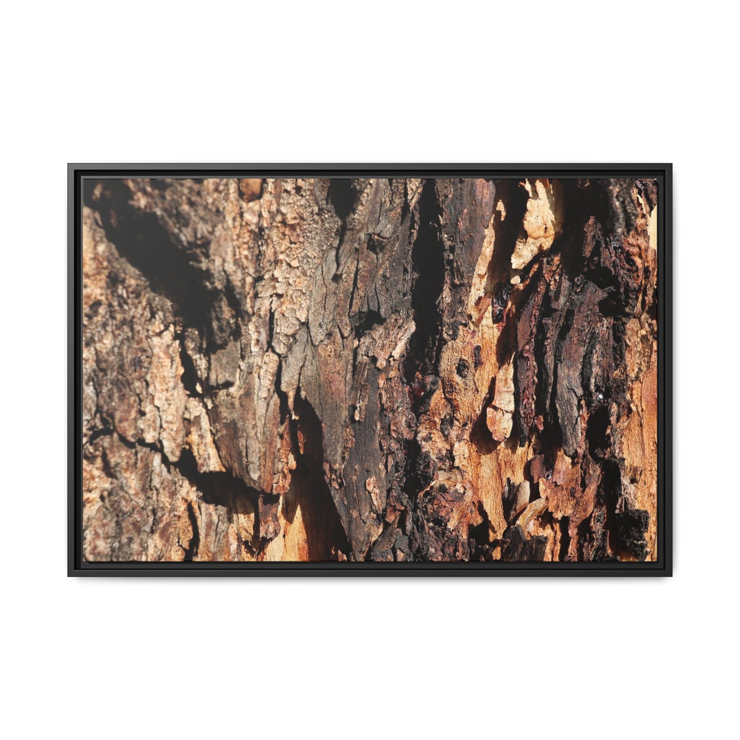 Rugged Beauty - Unique Stretched Canvas Wall Art