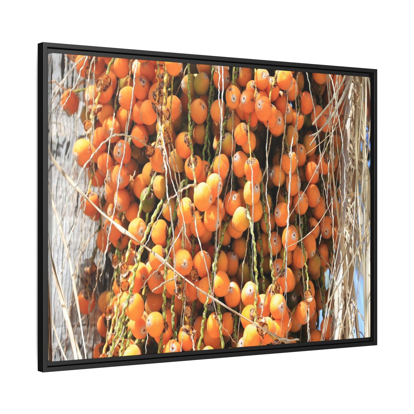 Clusters of Sunlight - Unique Canvas Wall Art