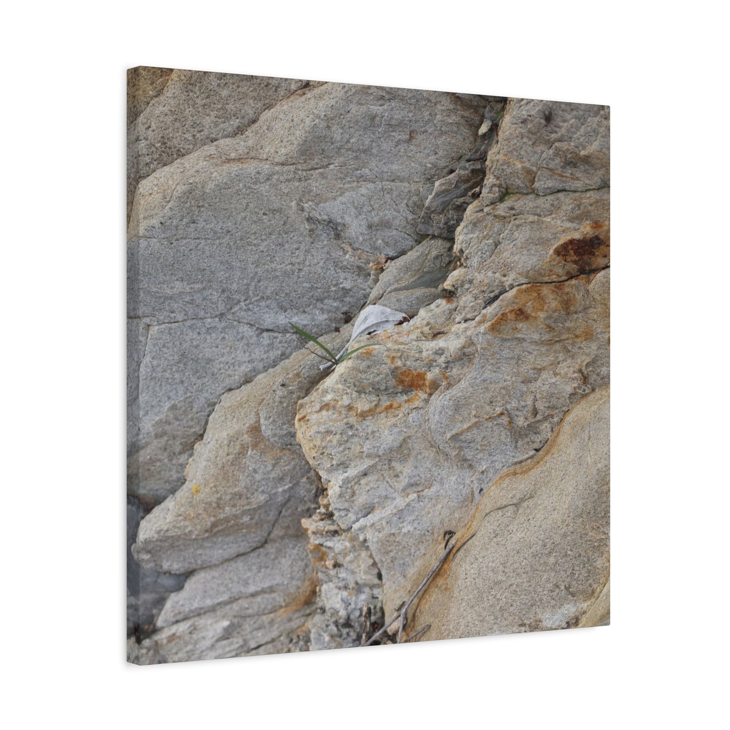 Fractal Earth - Unique Frameless Canvas Wall Art