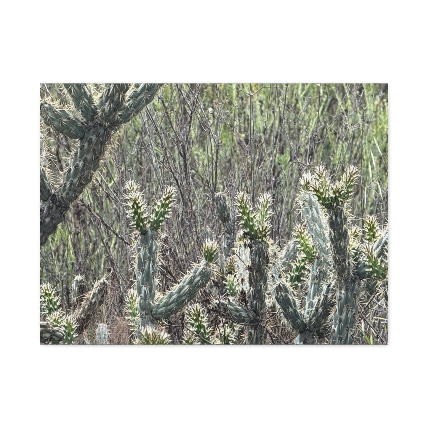 Spiny Sentinels - Unique Frameless Canvas Wall Art