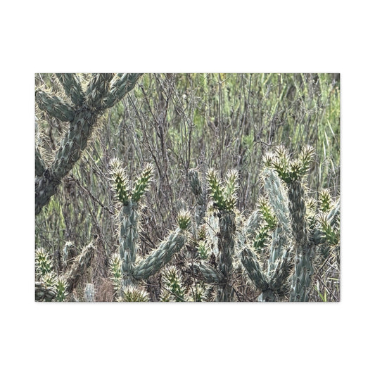 Spiny Sentinels - Unique Frameless Canvas Wall Art - Art By Earth