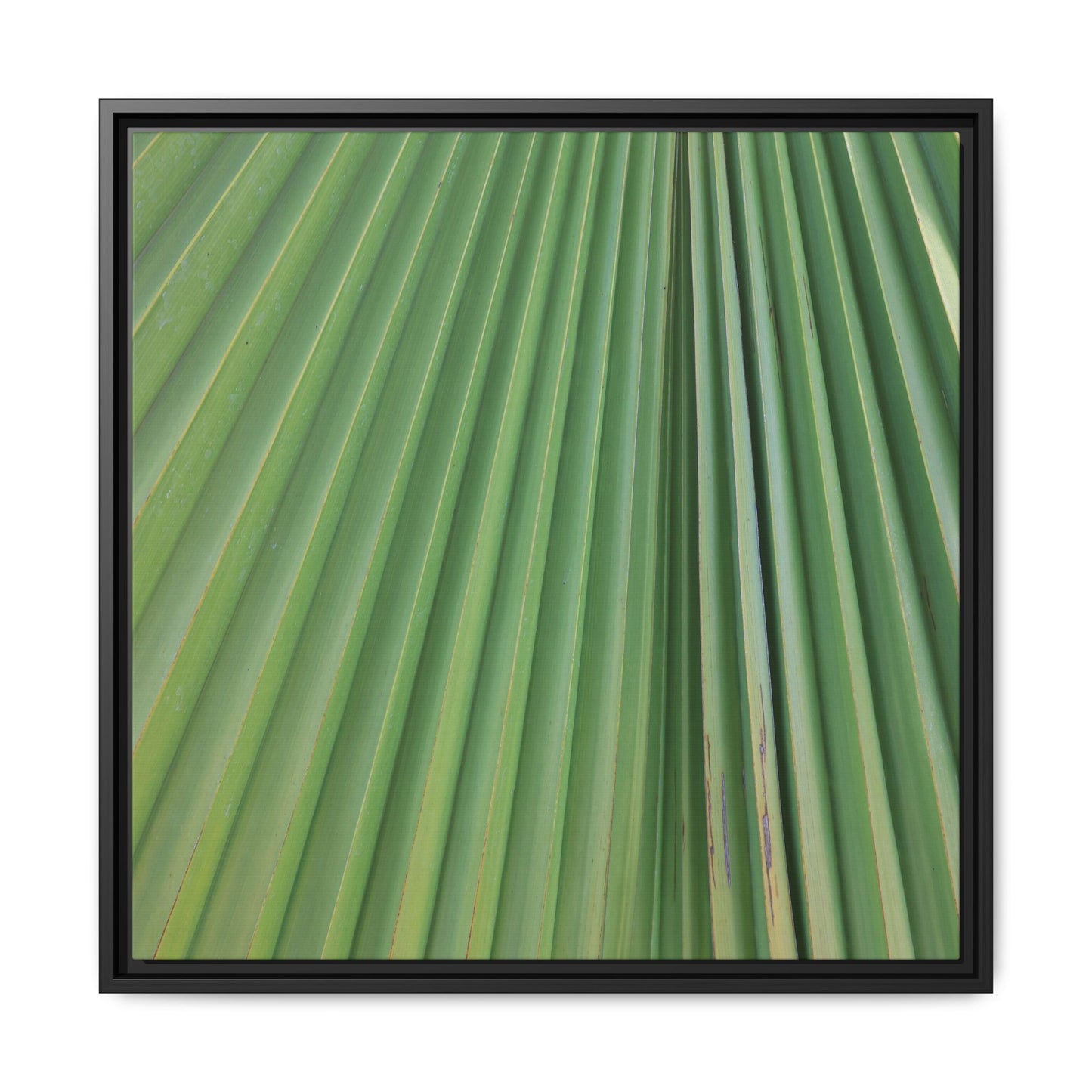 Emerald Rays - Unique Stretched Canvas Wall Art