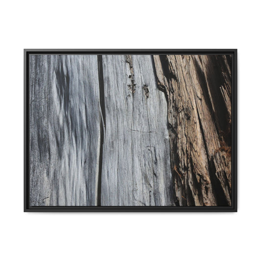 Wood's Lament - Unique Stretched Canvas Wall Art - Art By Earth