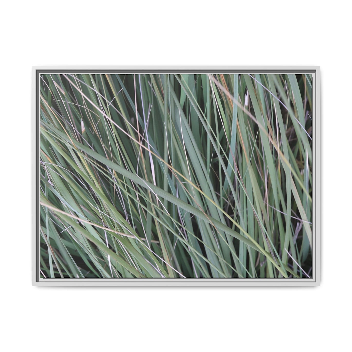 Grassland Symphony - Unique Stretched Canvas Wall Art