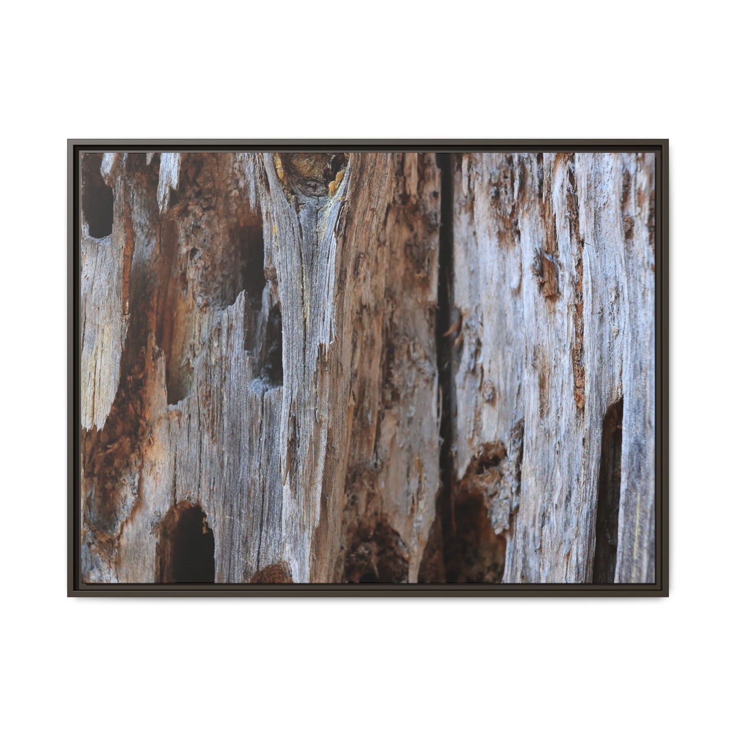 Decaying Splendor - Unique Stretched Canvas Wall Art