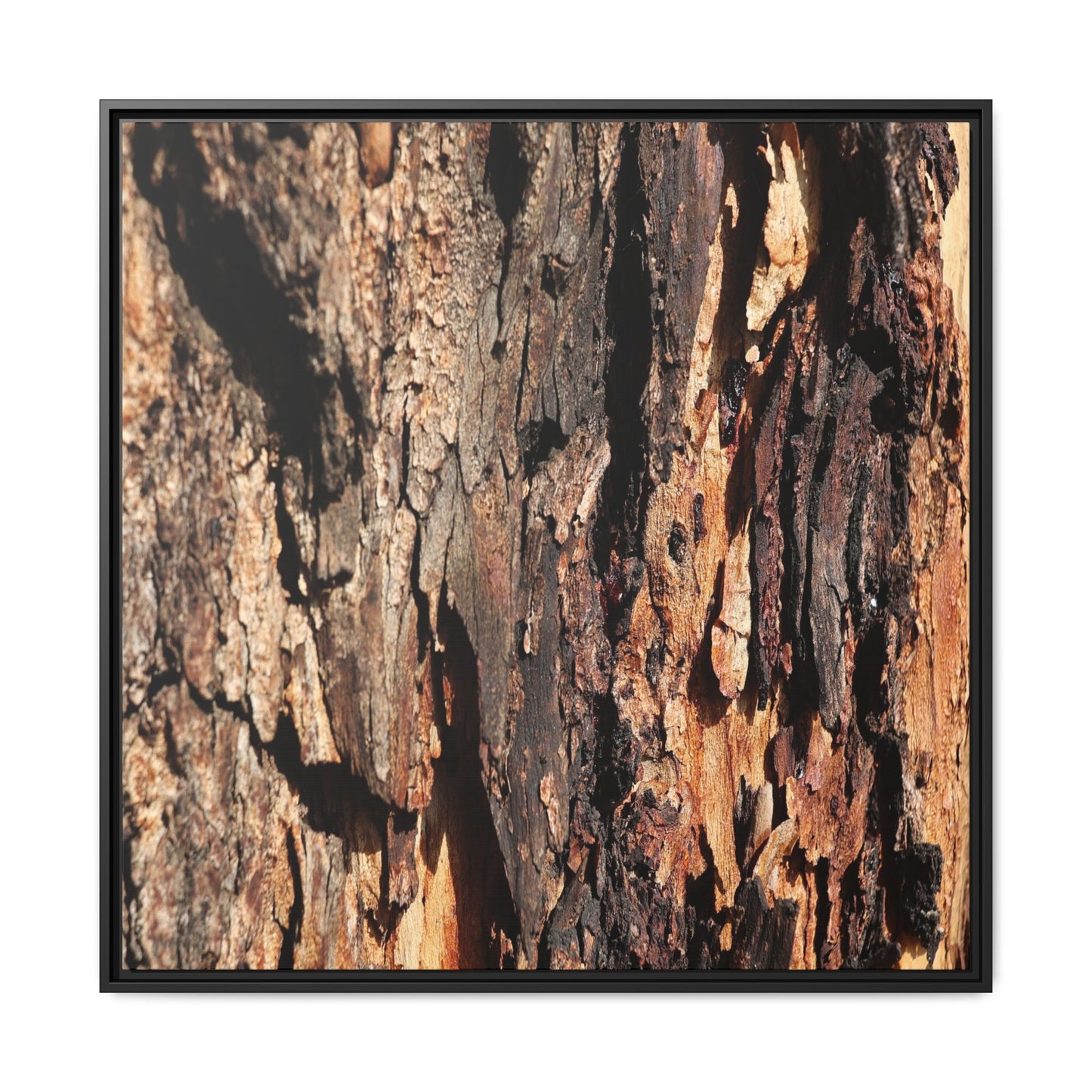 Rugged Beauty - Unique Stretched Canvas Wall Art