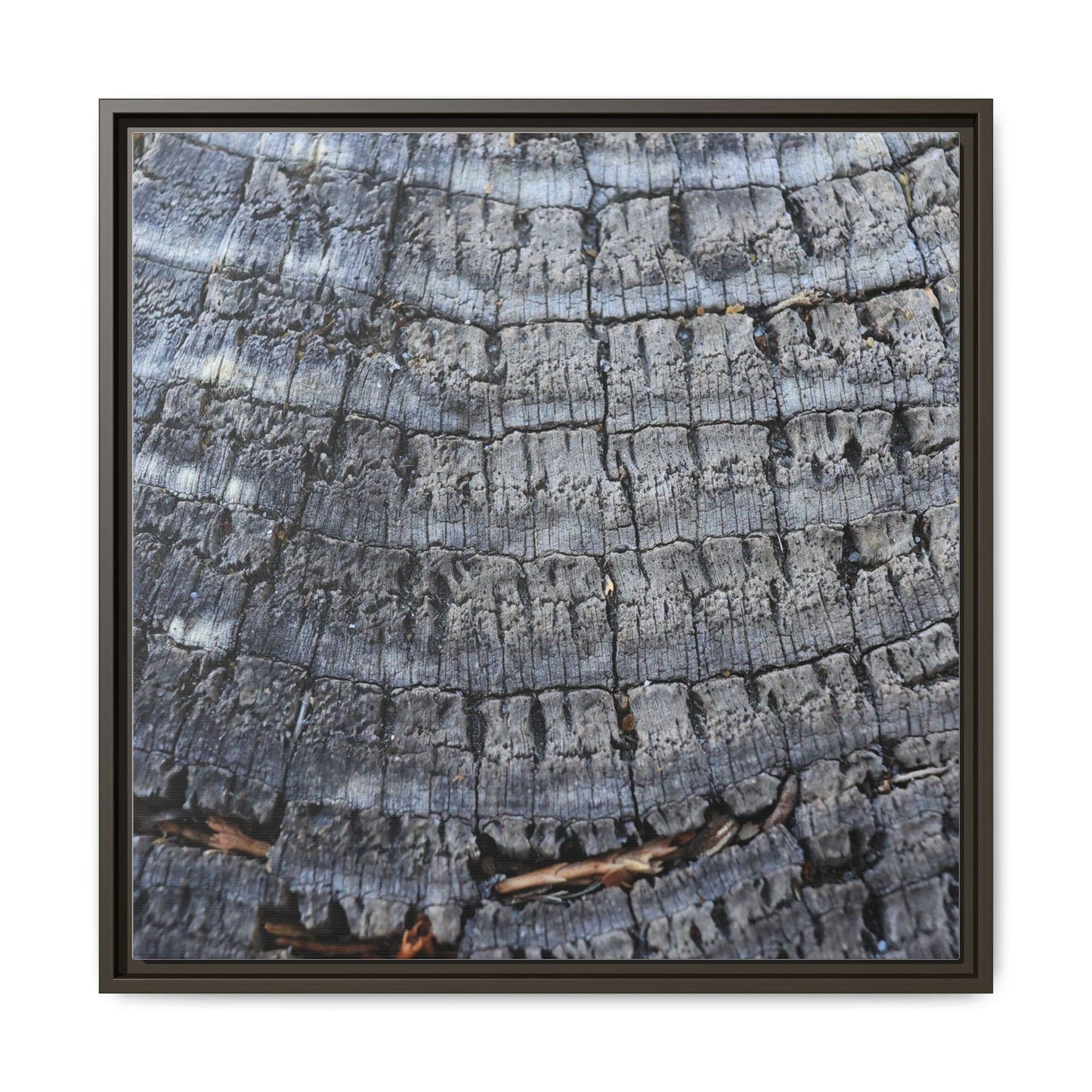 Charred Memories - Unique Stretched Canvas Wall Art