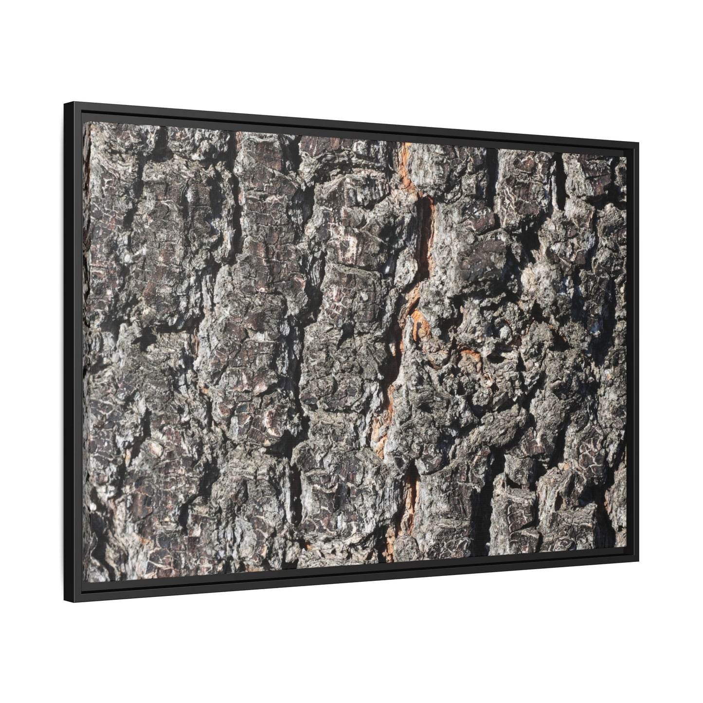 Aged Beauty - Unique Stretched Canvas Wall Art