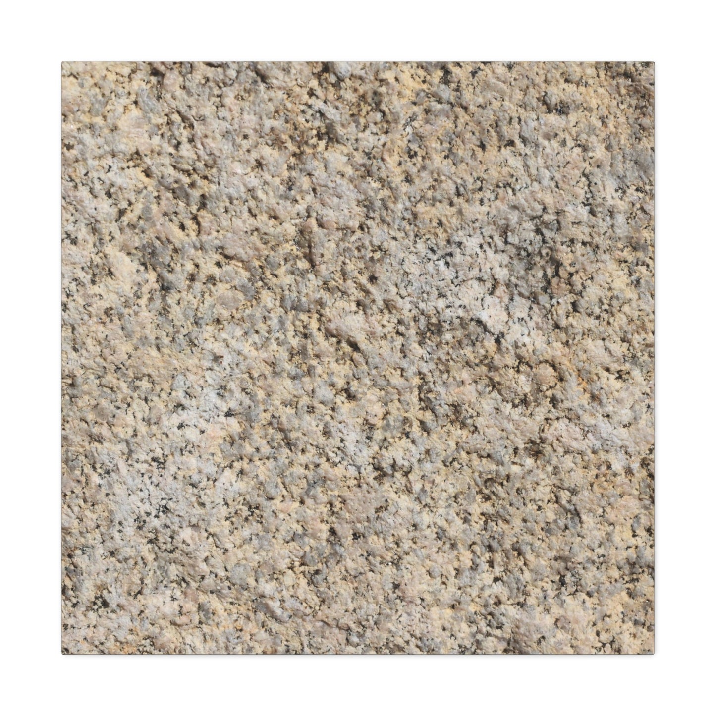 Granular Echoes - Unique Frameless Canvas Wall Art