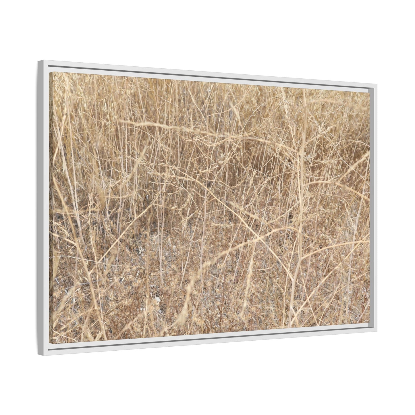 Golden Stalks - Unique Stretched Canvas Wall Art