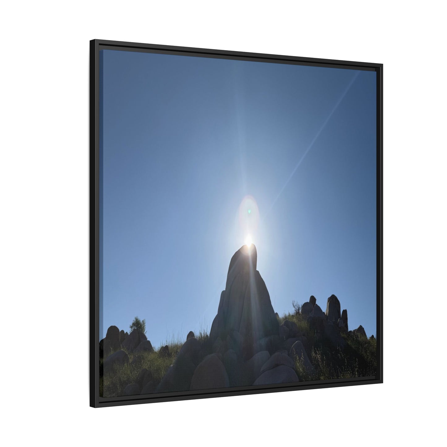 Sunburst - Unique Stretched Canvas Wall Art