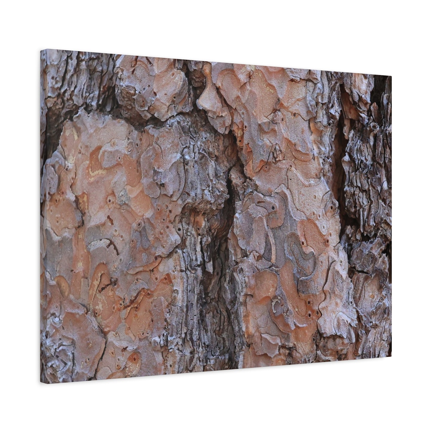 Arboreal Armor - Unique Frameless Canvas Wall Art