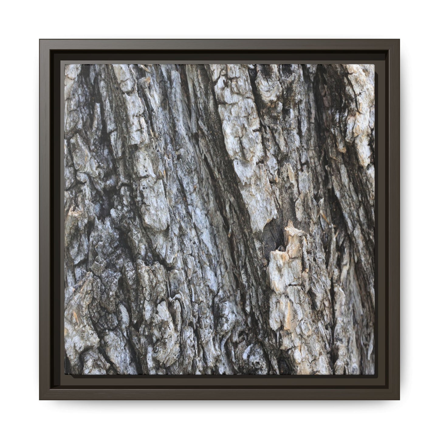Twisted Textures - Unique Stretched Canvas Wall Art
