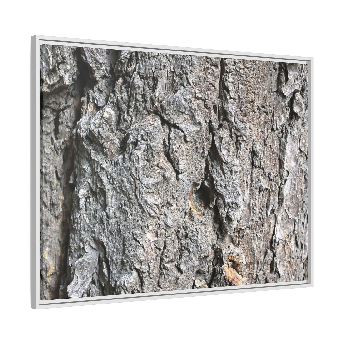 Crusty Exterior - Unique Stretched Canvas Wall Art