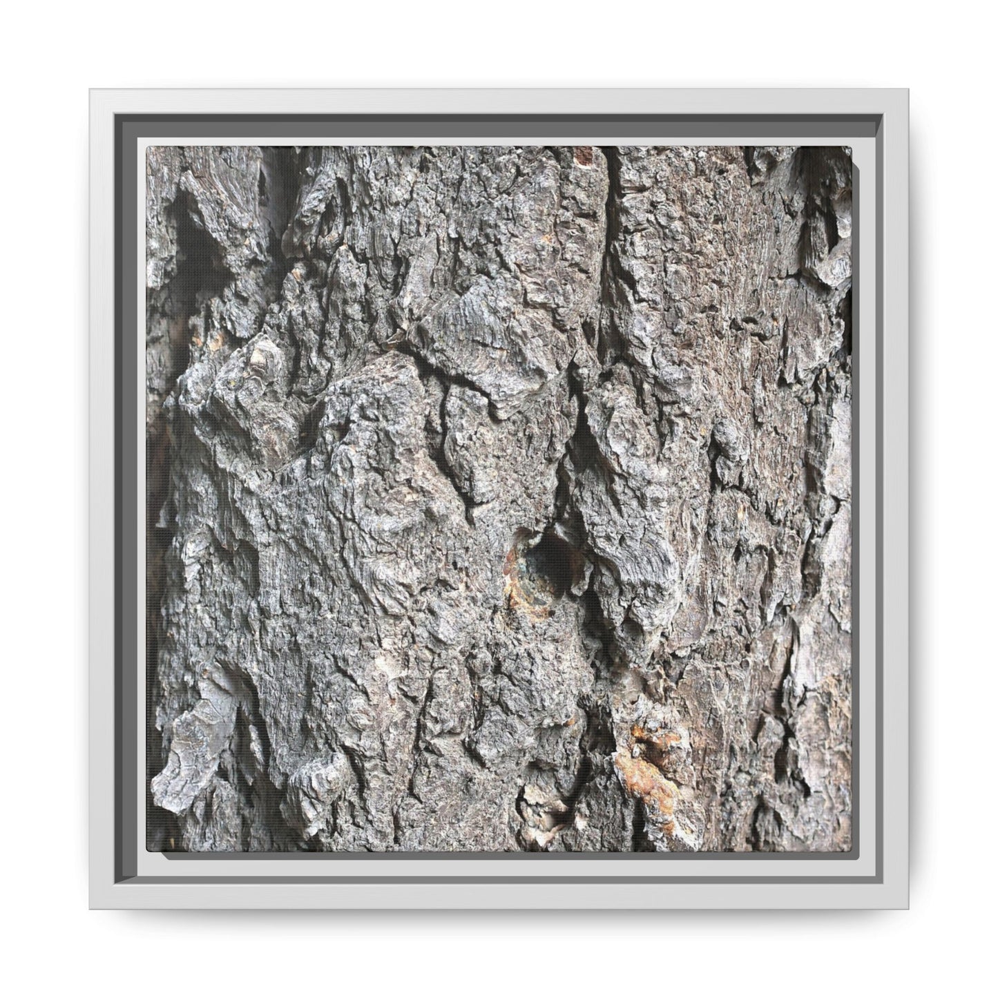 Crusty Exterior - Unique Stretched Canvas Wall Art