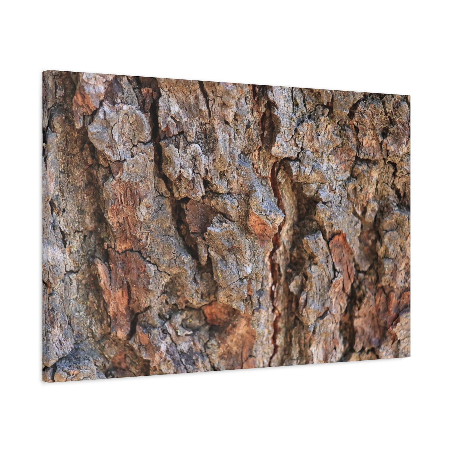 Roots of Time - Unique Frameless Canvas Wall Art