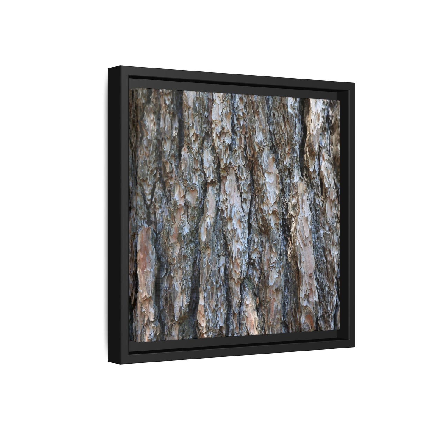 Bark Whispers - Unique Stretched Canvas Wall Art