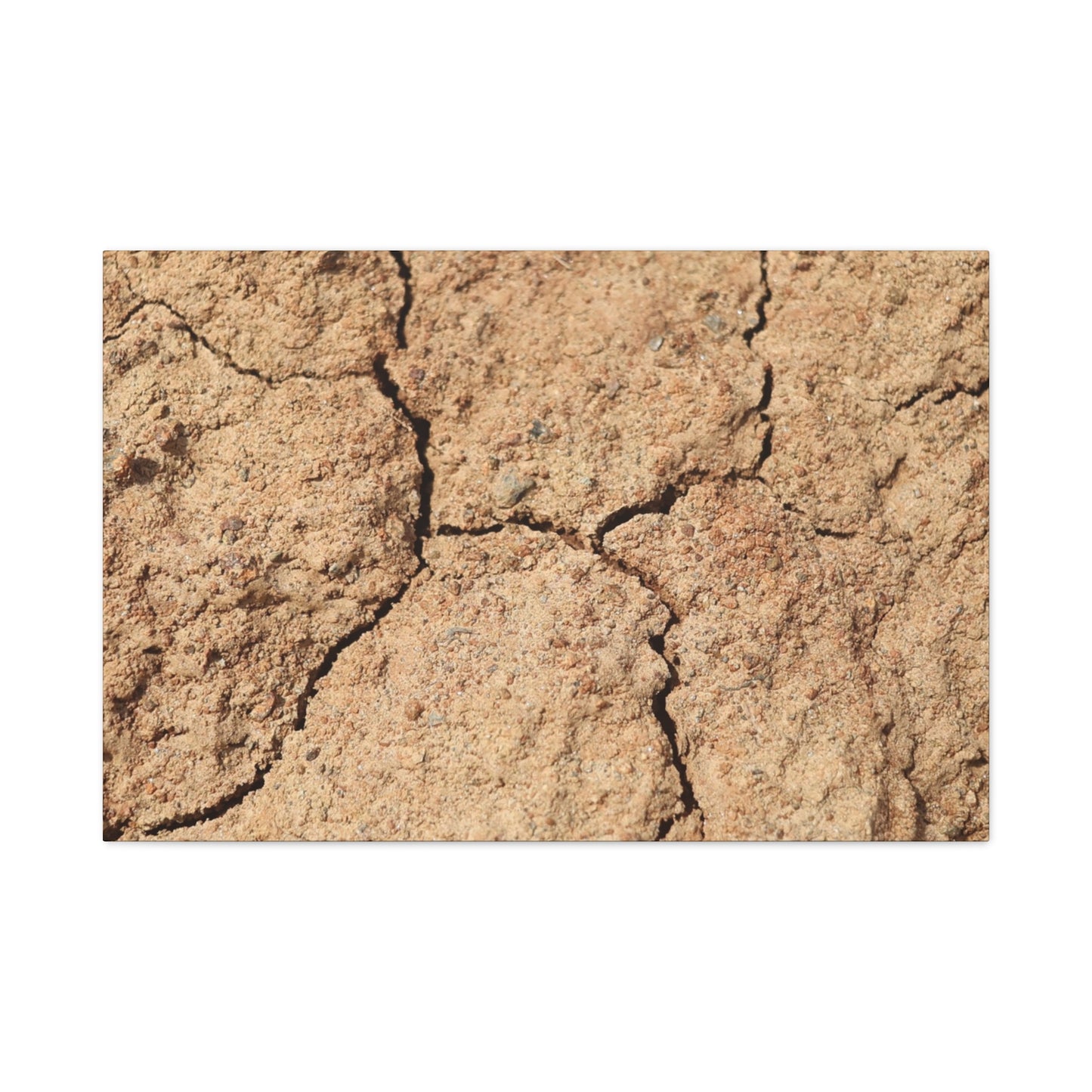 Cracked Earth's Lament - Unique Frameless Canvas Wall Art