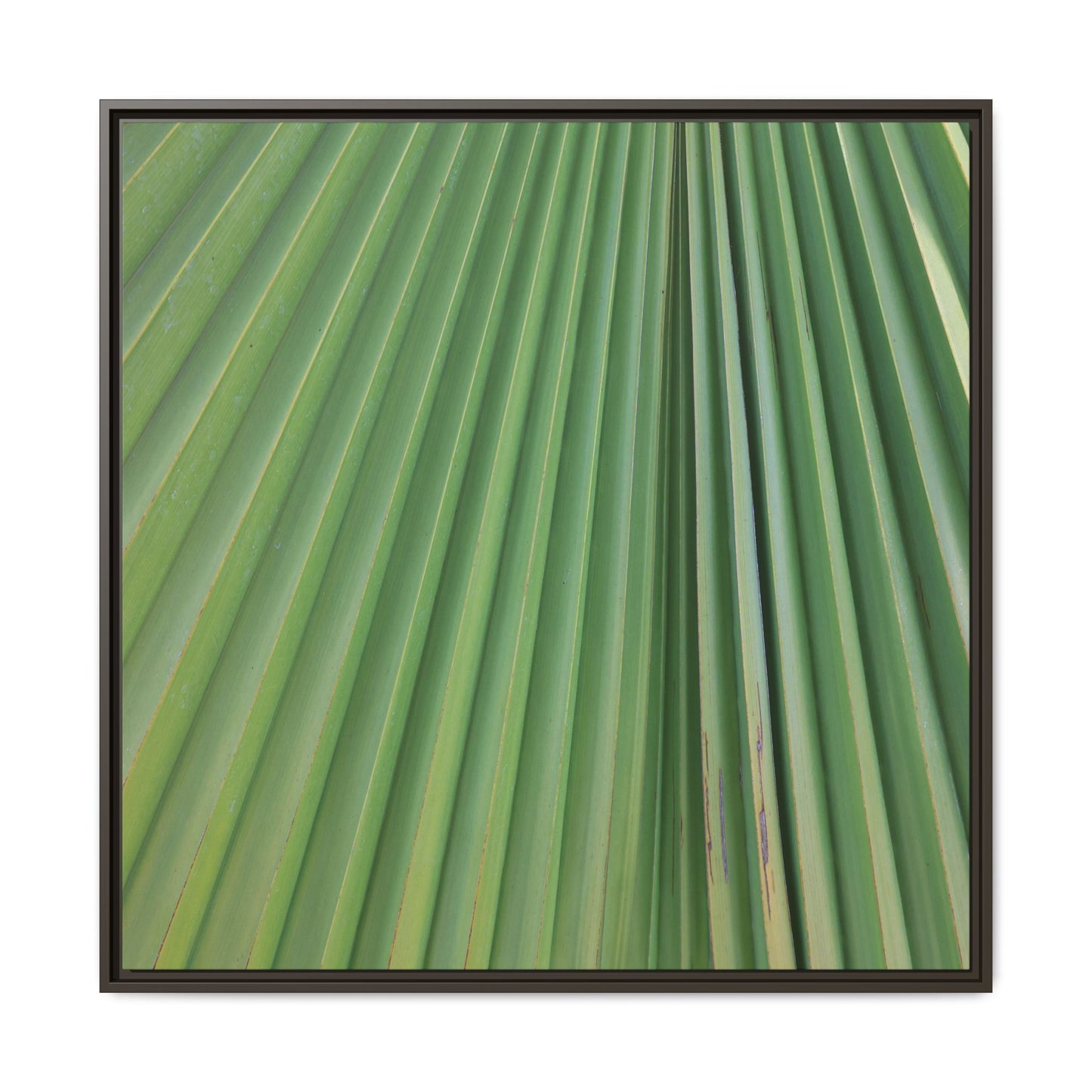 Emerald Rays - Unique Stretched Canvas Wall Art