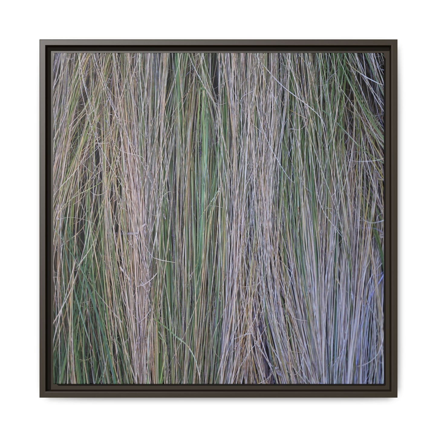 Whispers of Silver Grass - Unique Stretched Canvas Wall Art
