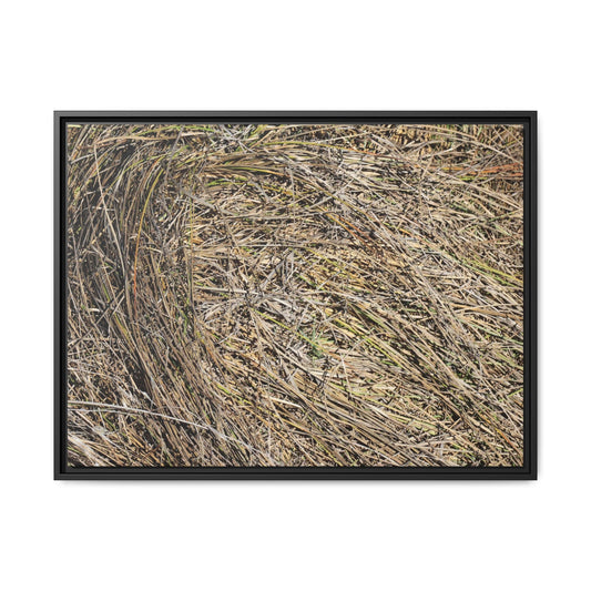 Tangled Grass Symphony - Unique Stretched Canvas Wall Art - Art By Earth