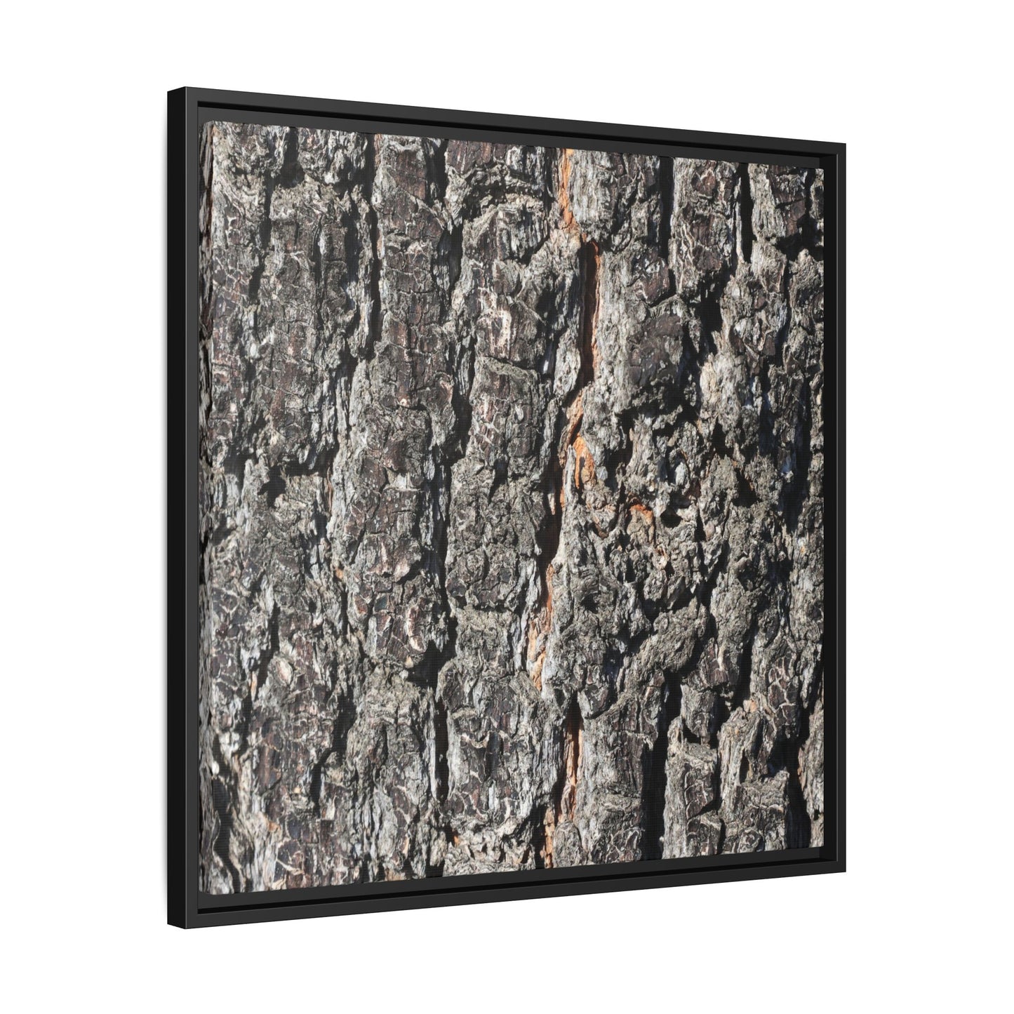 Aged Beauty - Unique Stretched Canvas Wall Art