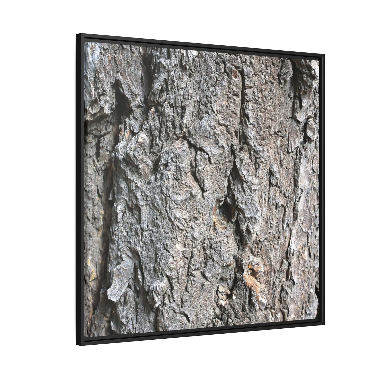 Crusty Exterior - Unique Stretched Canvas Wall Art