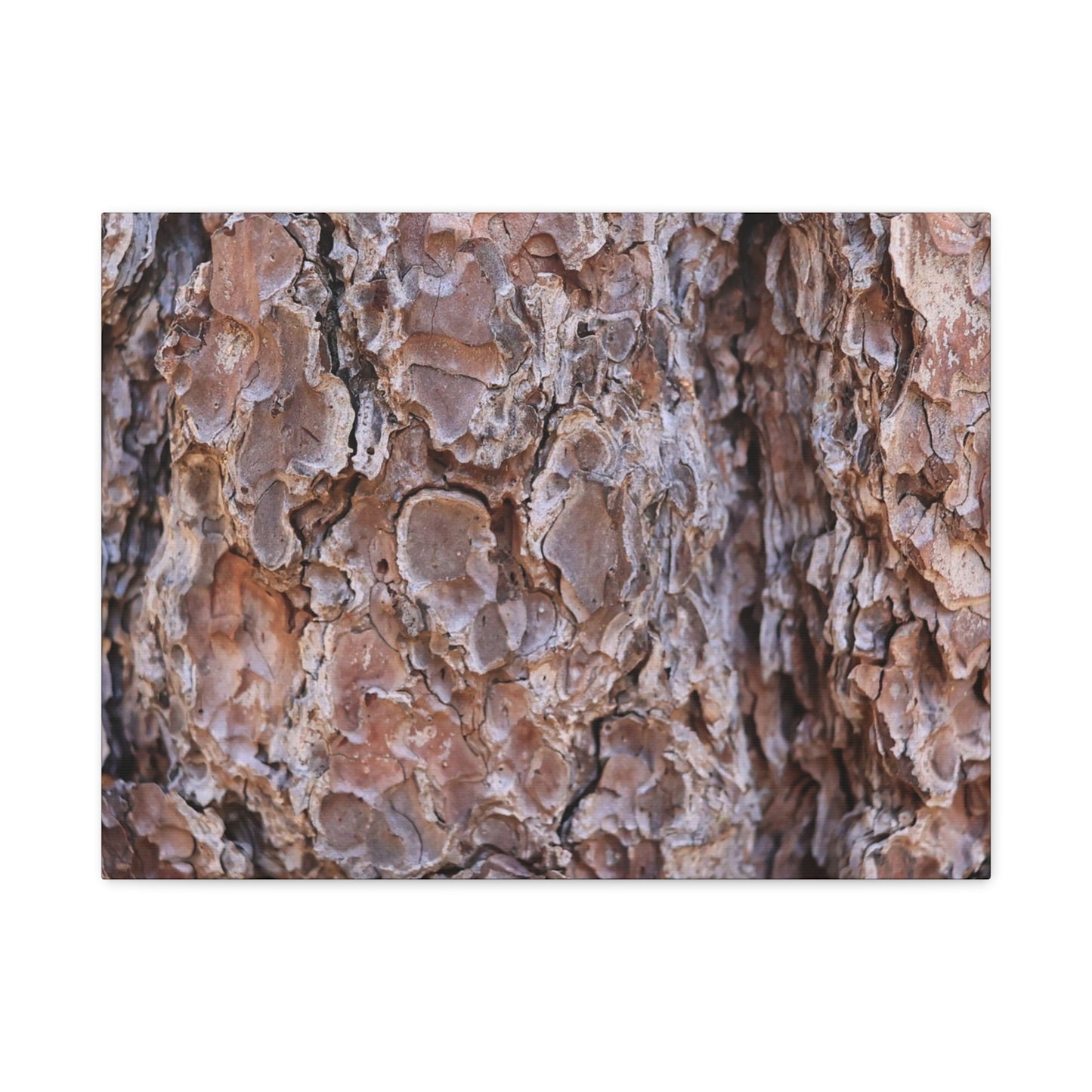 Rugged Bark Landscape - Unique Frameless Canvas Wall Art