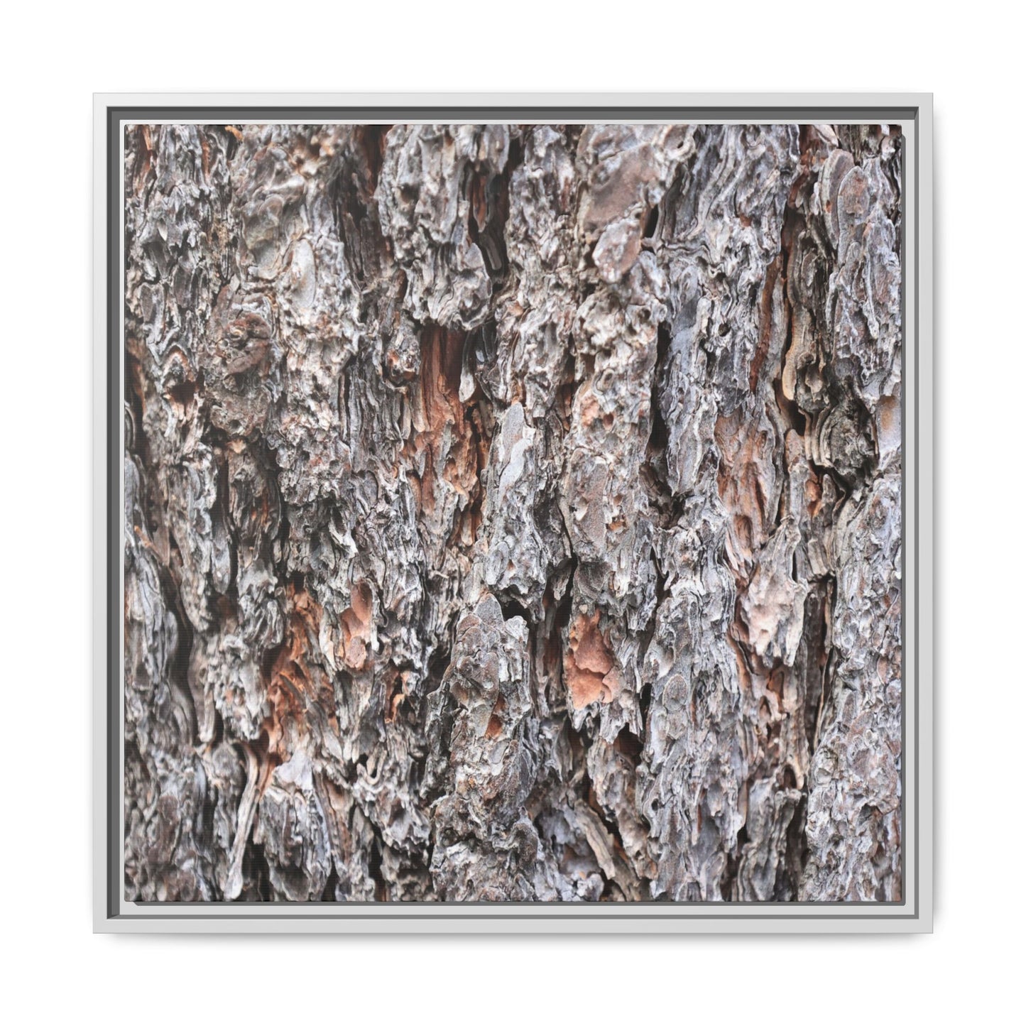 Rugged Cortex - Unique Stretched Canvas Wall Art