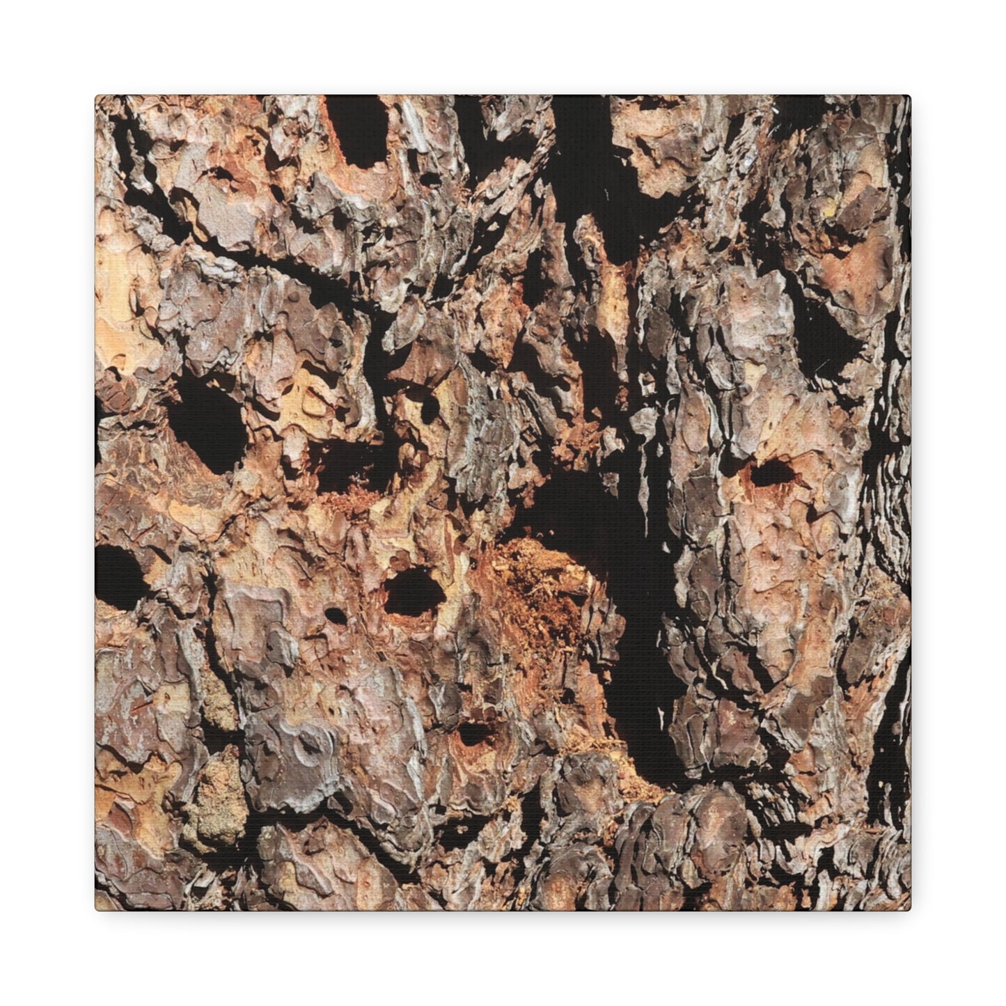 Tree Bark Mosaic - Unique Frameless Canvas Wall Art