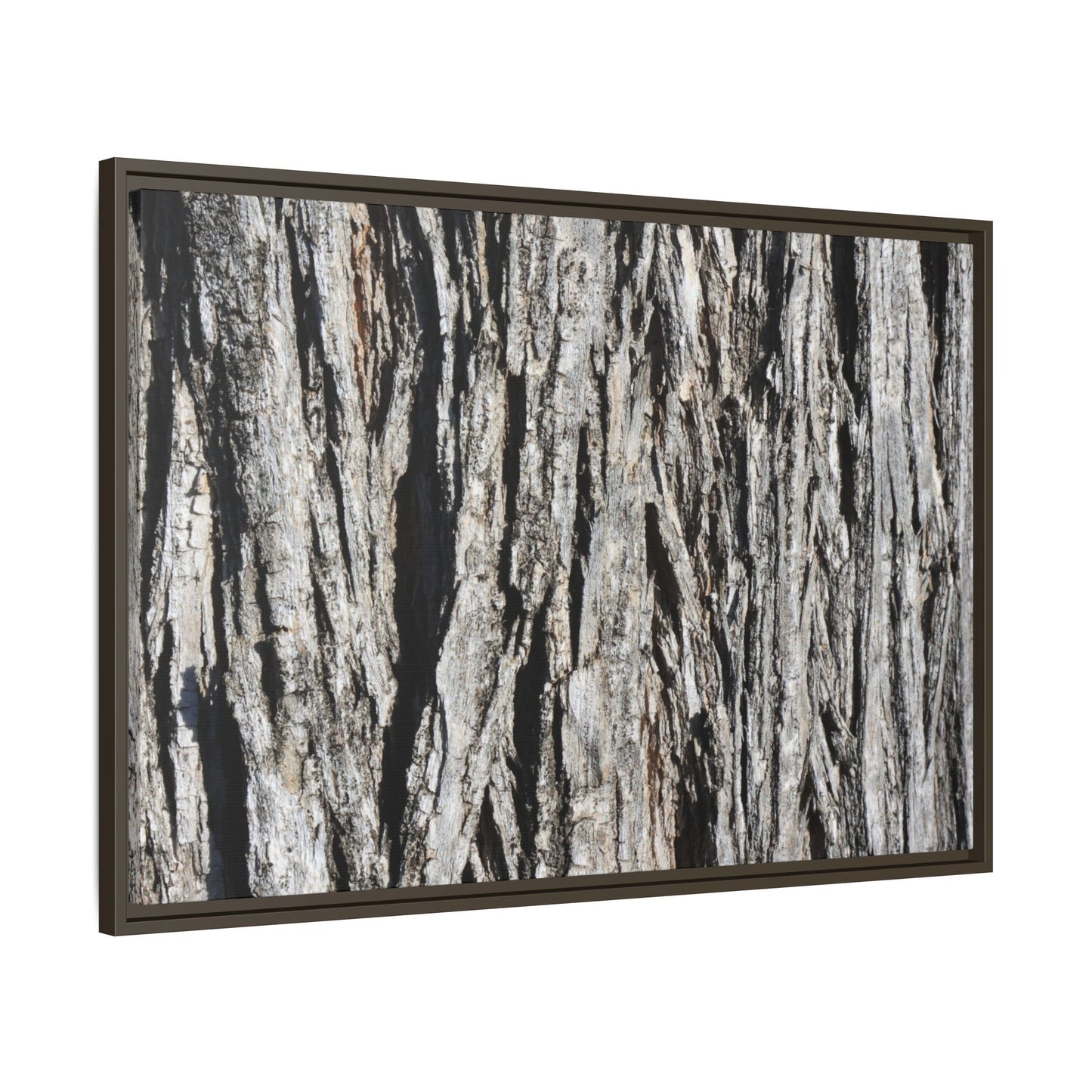 Nature's Abstract - Unique Stretched Canvas Wall Art