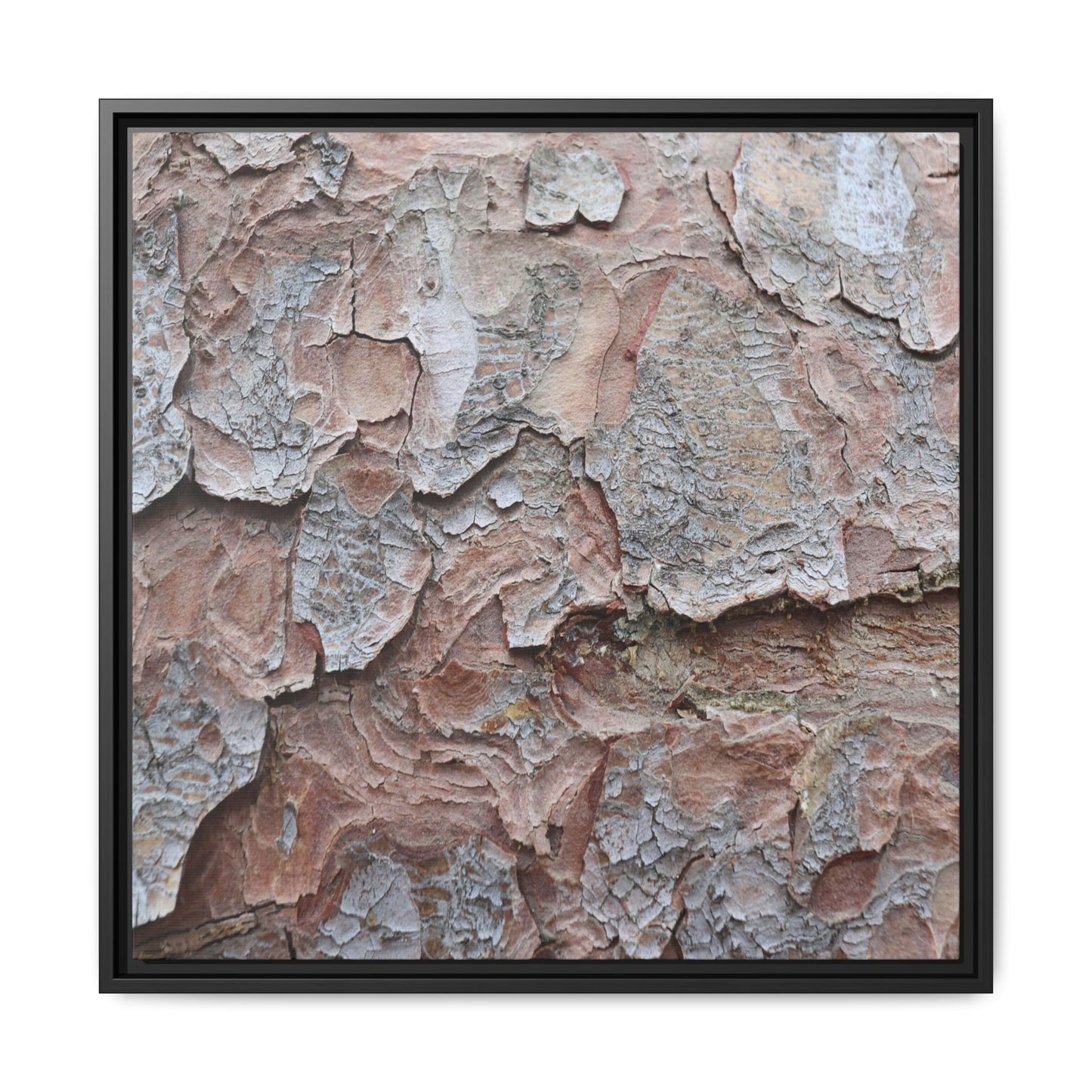 Flaking Serenity - Unique Stretched Canvas Wall Art