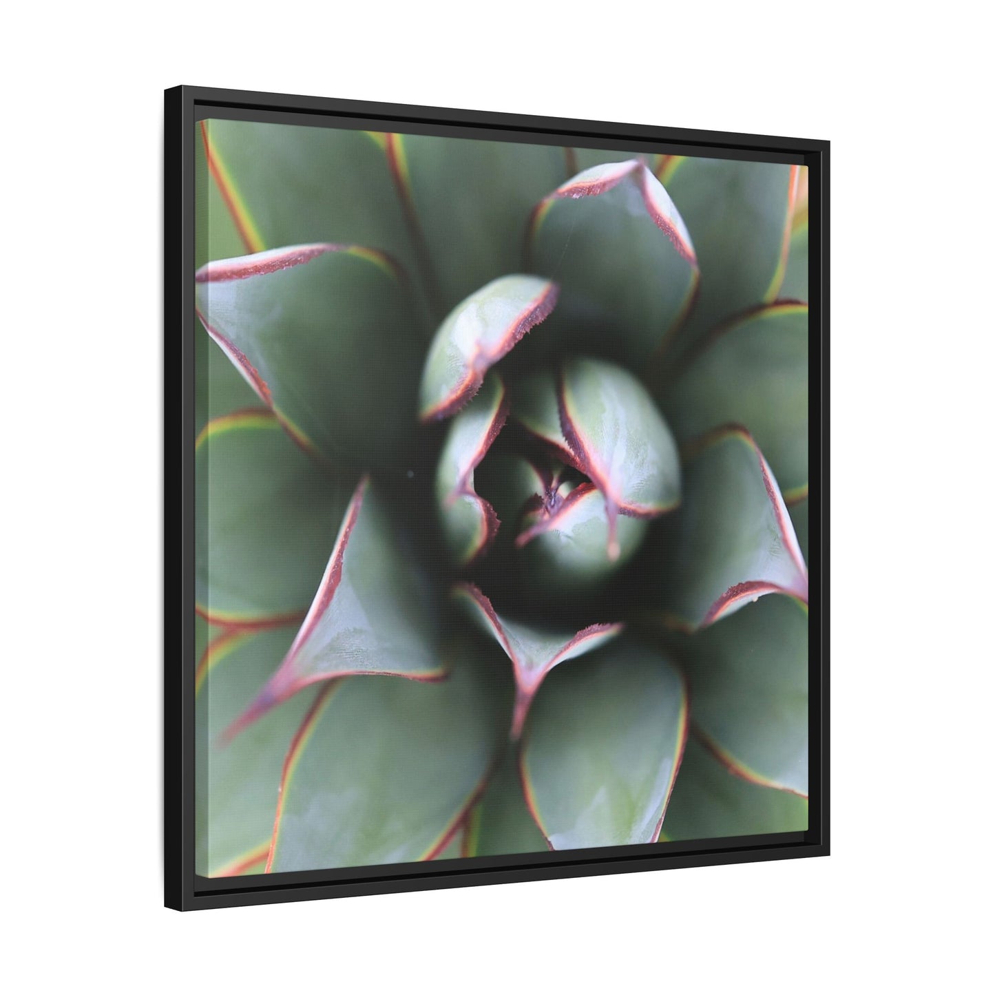 Spiky Elegance - Unique Stretched Canvas Wall Art