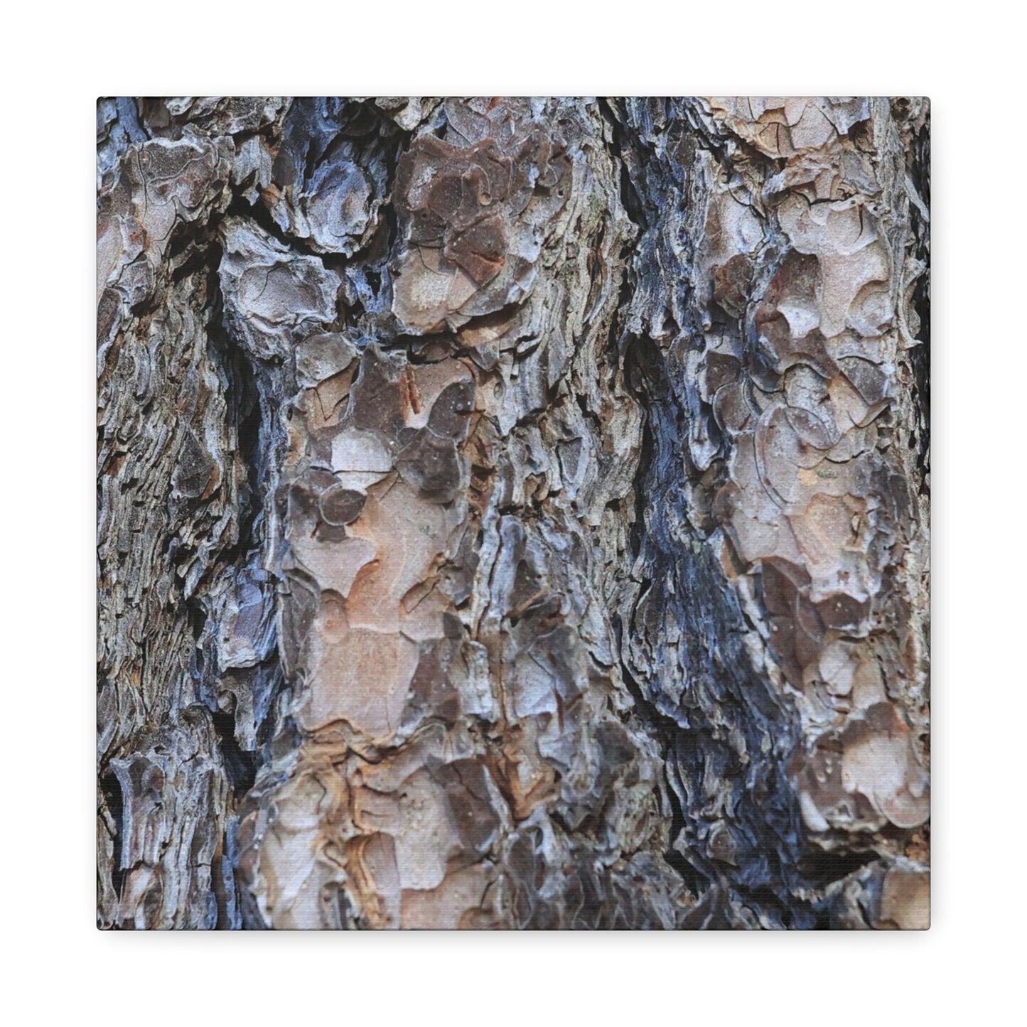 Arboreal Patterns - Unique Frameless Canvas Wall Art