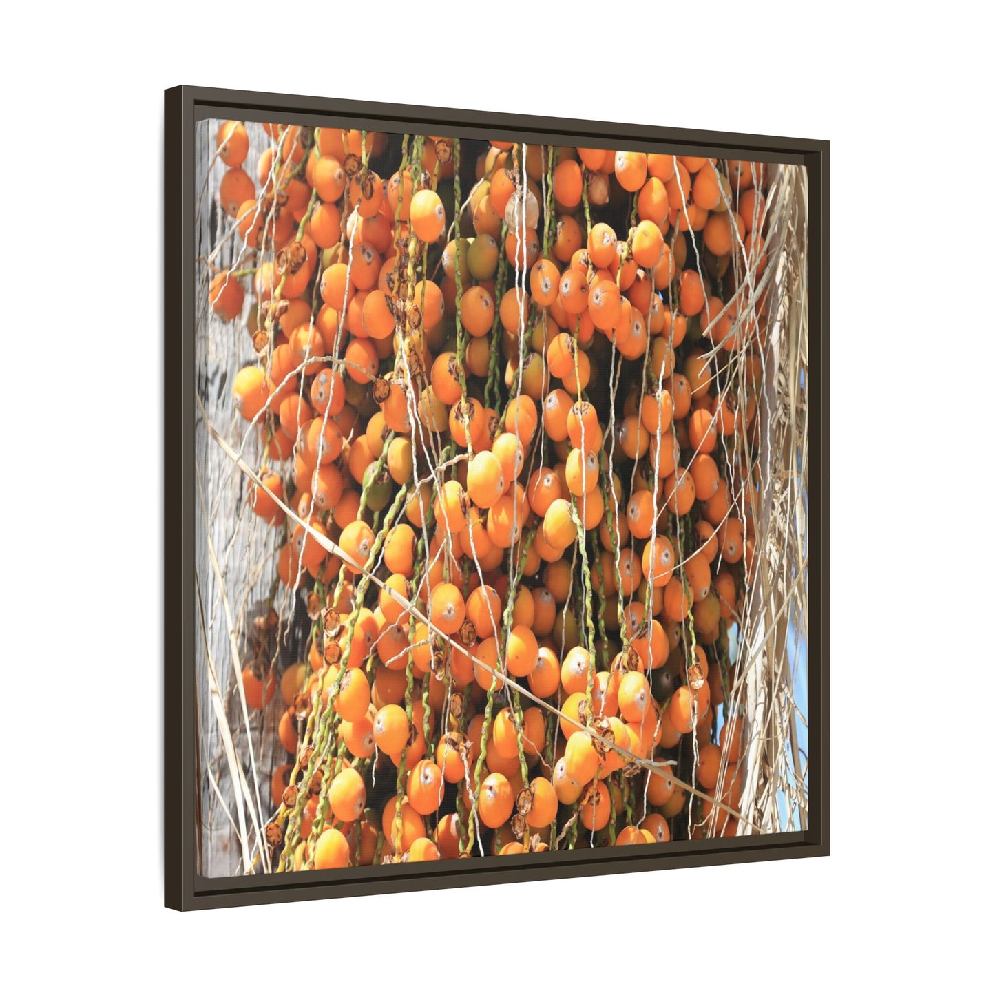 Clusters of Sunlight - Unique Canvas Wall Art