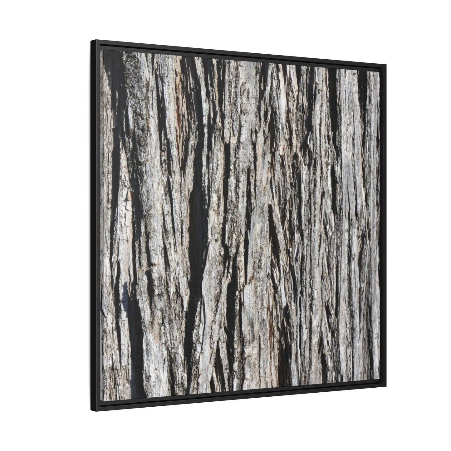 Nature's Abstract - Unique Stretched Canvas Wall Art