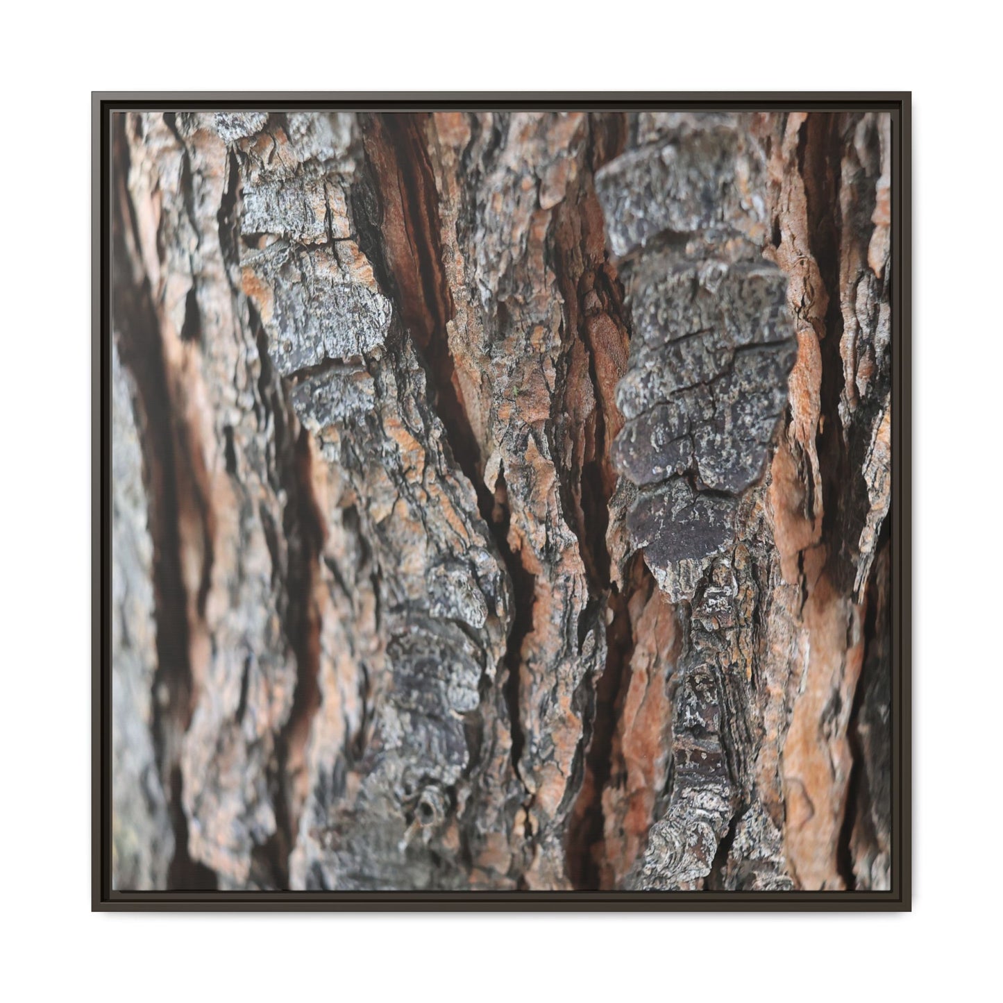 Fractured Nature - Unique Stretched Canvas Wall Art