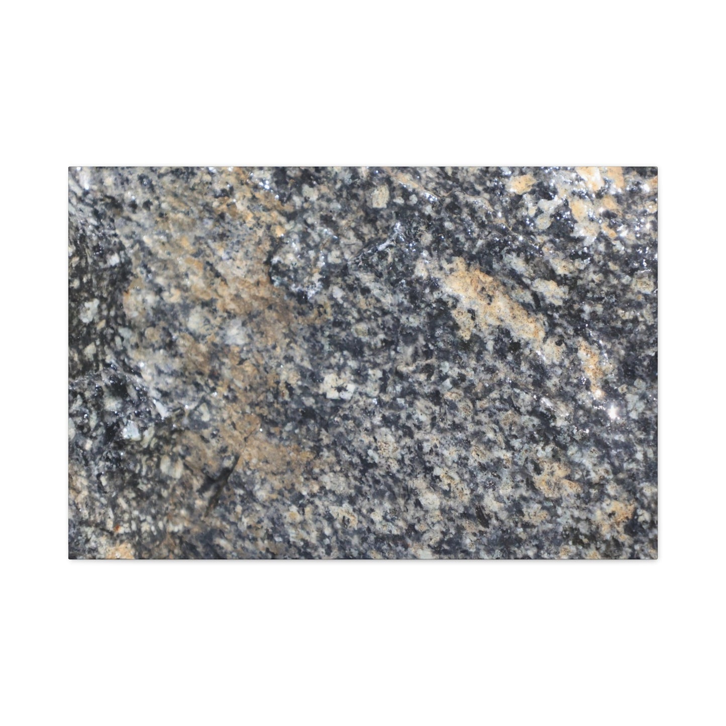Metamorphic Memory - Unique Frameless Canvas Wall Art